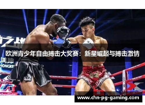 欧洲青少年自由搏击大奖赛:新星崛起与搏击激情 欧洲青少年自由搏击大奖赛:新星崛起与搏击激情